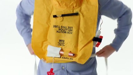 Mr Bean Gordon Ramsay e Gandalf no mesmo voo para o melhor vedeo de seguraneca