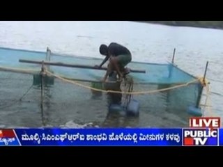 Mangalore: Rs. 8 Lakh Worth Fishes Robbed From CMFRI Shambhavi Lake