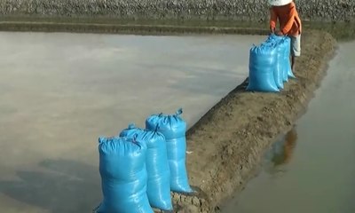 Kelangkaan Garam Terjadi di Berbagai Daerah di Indonesia