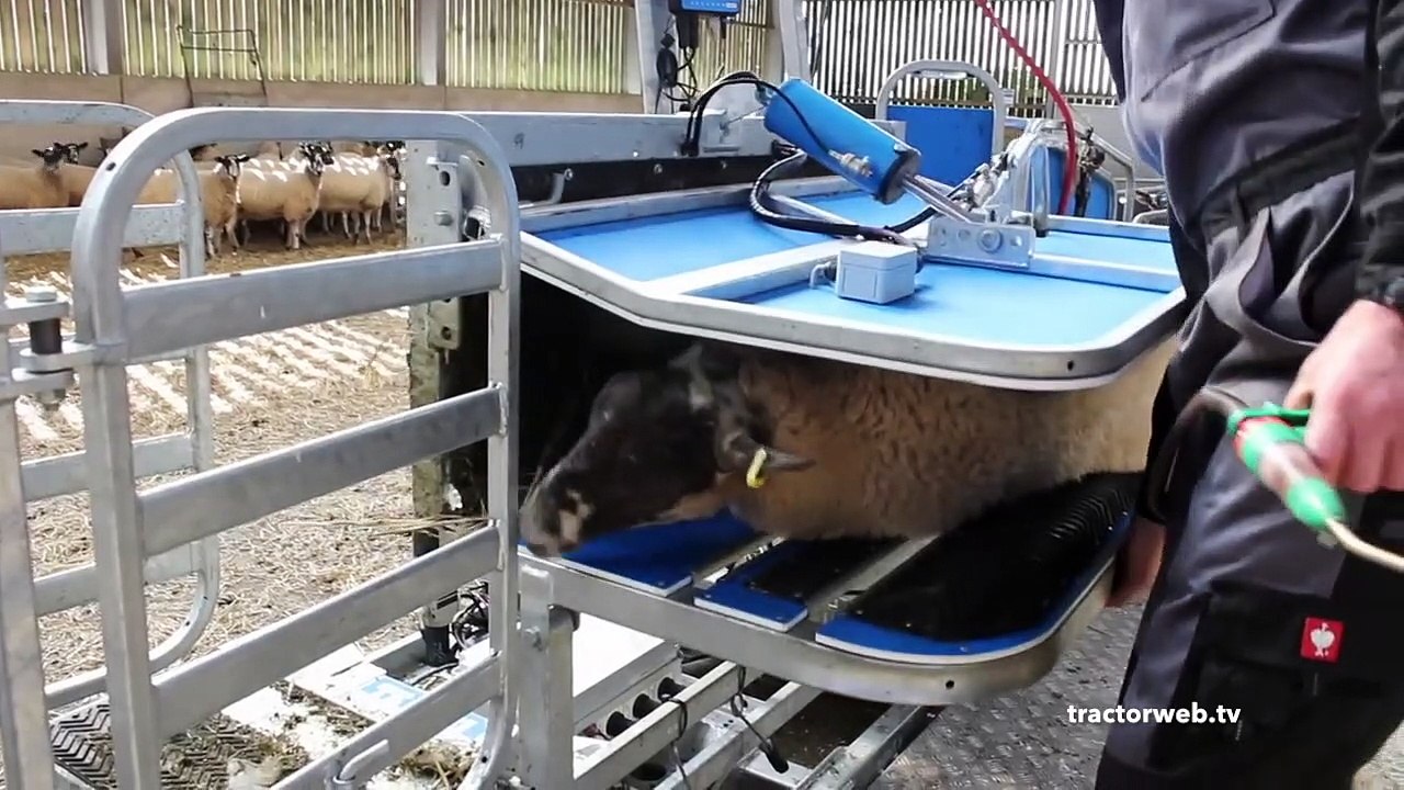 Küçükbaş hayvancılık yapanlar kesinlikle izlesin