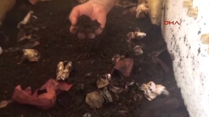 Aydın Emekli Öğretmenden Solucan Gübresi Üretimi