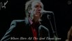 RAY DAVIES : Live in Chicago 2006 (A great concert from the leader of THE KINKS)