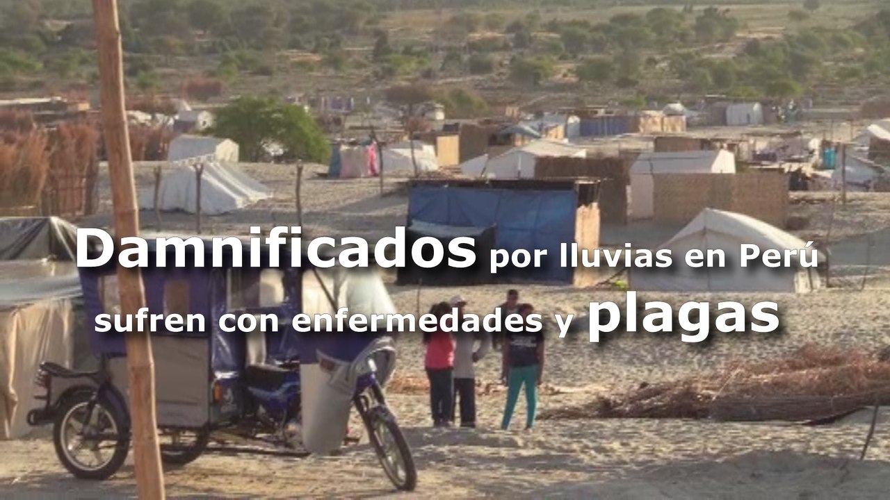 Damnificados por lluvias en Perú sufren con enfermedades y plagas