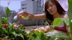 파라다이스 빌라