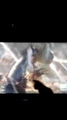 Tia Kitty reacts to TV watching.