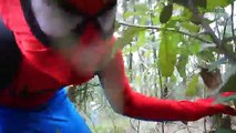 Et Oeuf gelé amusement amusement fantôme vie se déplace réal homme araignée super-héros contre elsa dinosuar