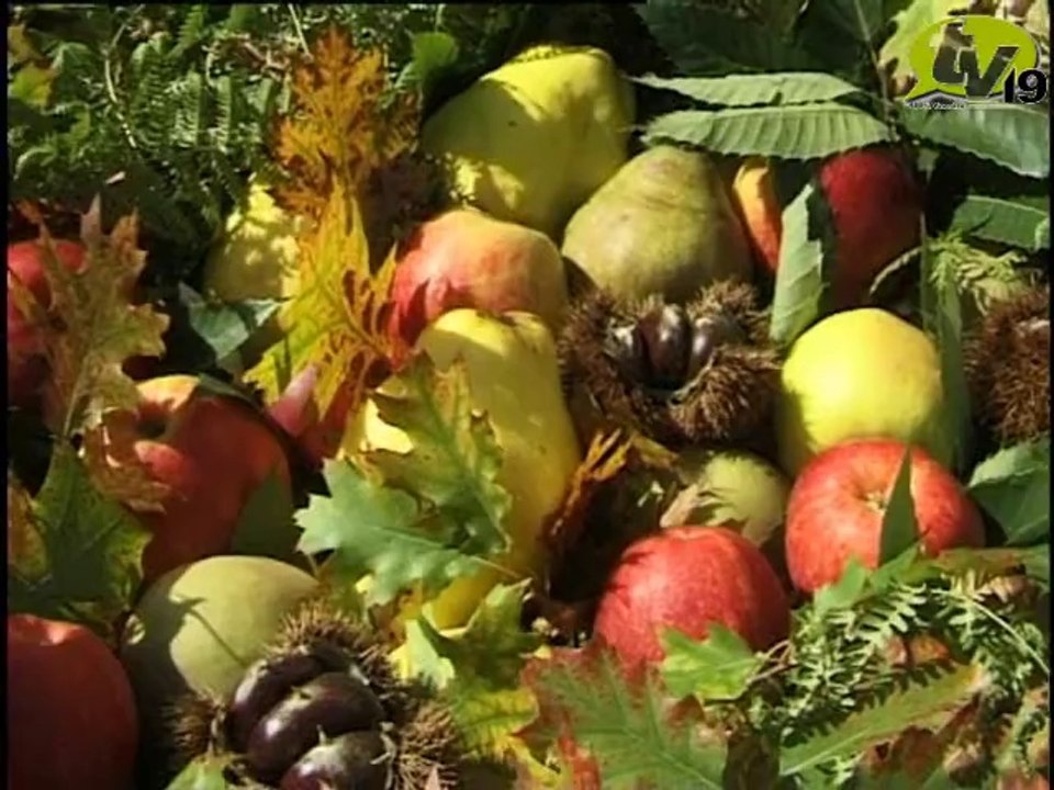 Fête de la pomme objat