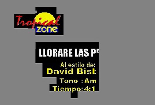 Llorare Las Penas - David Bisbal (Karaoke)