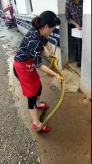 Amezing Video 2017 watch
