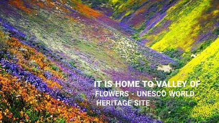 Devbhomi Lok Kala Udgam Charitable Trust Mumbai   (2)