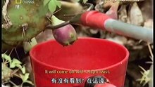 Explore Taiwan