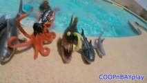 Animales Niños en Niños Aprender aprendizaje nombres de pag parque Mar tiburón diapositiva juguetes vídeo agua agua agua