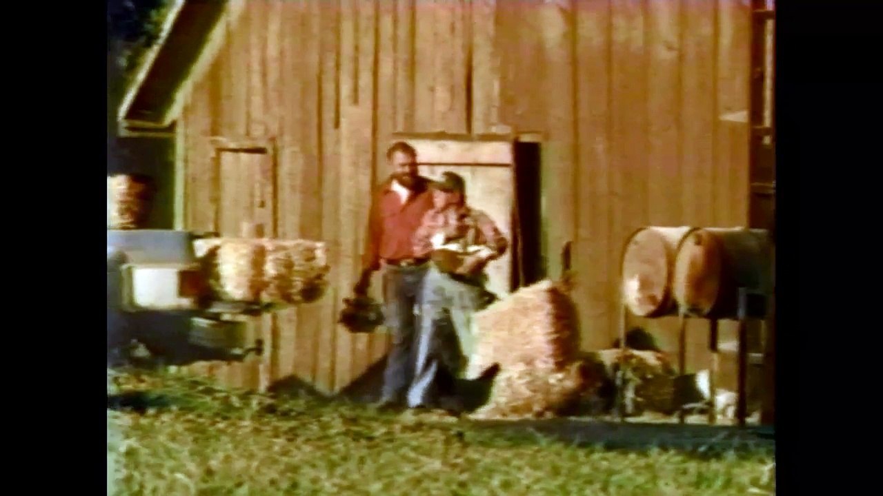 1988 Commercial FTD Easter Basket Bouquet w/Merlin Olsen