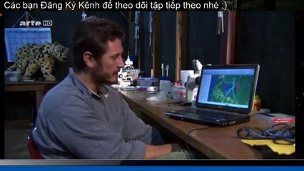 Luxuriante Amazonie Danger HD Documentaire (6)