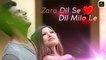 Zara Dil Se Dil Mila Le | Pehla Pyaar | Prateek Saxena