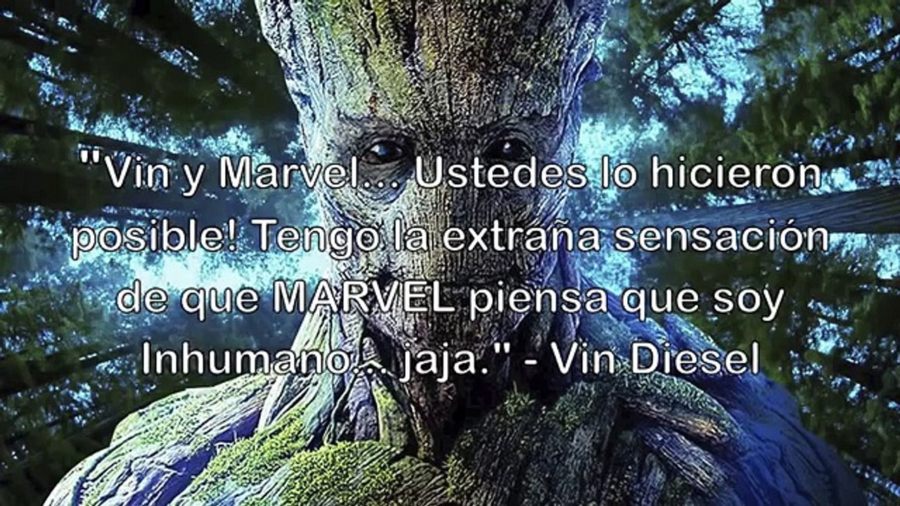 Lokistrikes Semanal