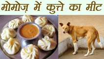 Delhi : Momos shops shuts after complaints of using dogs mutton | वनइंडिया हिन्दी