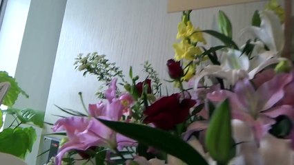 FINAL FANTASY XIV at F.A.T.E. in KAGOSHIMA