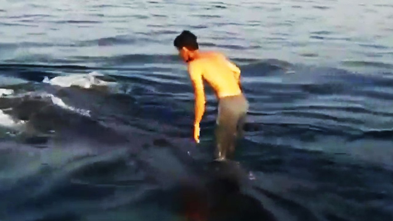 Un pêcheur marche sur le dos d'une baleine (Golfe persique)