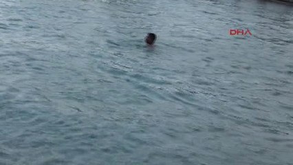 Adana Ölümcül Serinlik Arayışı