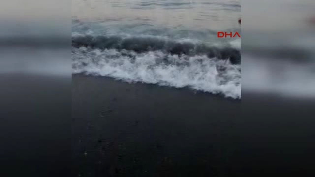 Muğla -Bodrum - Gümbet Koyunda Gelgit