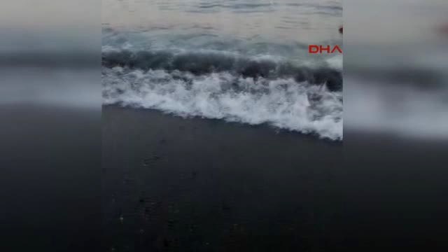 Muğla -Bodrum - Gümbet Koyunda Gelgit