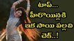 Sai Pallavi Give A Tough Competition To Tollywood Heroines