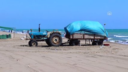 Traktör Römorkunda Yaz Tatili