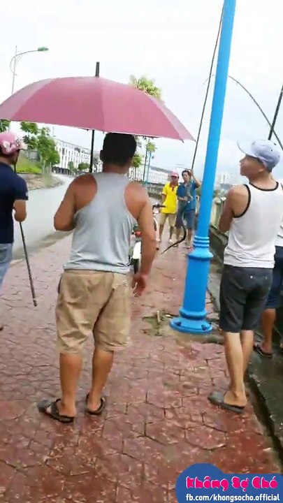Nước sông hồng lên. Hổ Mang Chúa vào bờ -