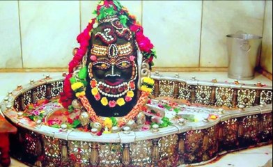 यह पेड़ अगर आपके घर में है तो कोई आपका का बुरा नहीं कर सकता