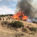 Whittier Fire 'Winds Down' in California