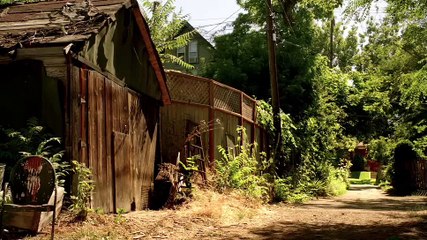 Values - homer_smaller # PASS IT ON #