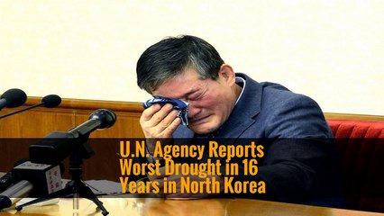 U.N. Agency Reports Worst Drought in 16 Years in North Korea