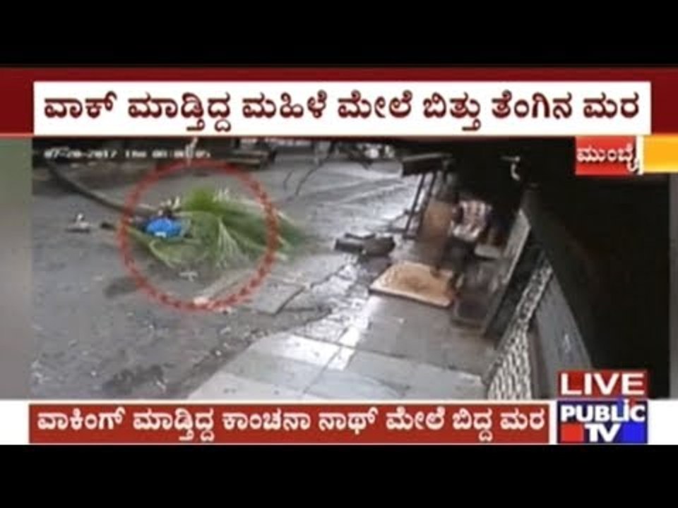 Mumbai: Ex-Doordarshan female anchor crushed by falling tree