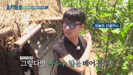 네팔 학교에서 농작 알바하는 자녀들 (ft. 패셔니스타 원석)