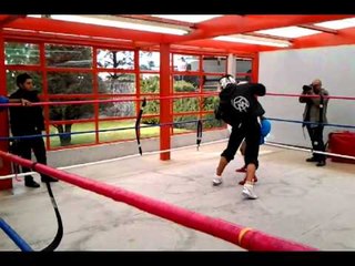Antonio Margarito vs. Omar Henry RIP