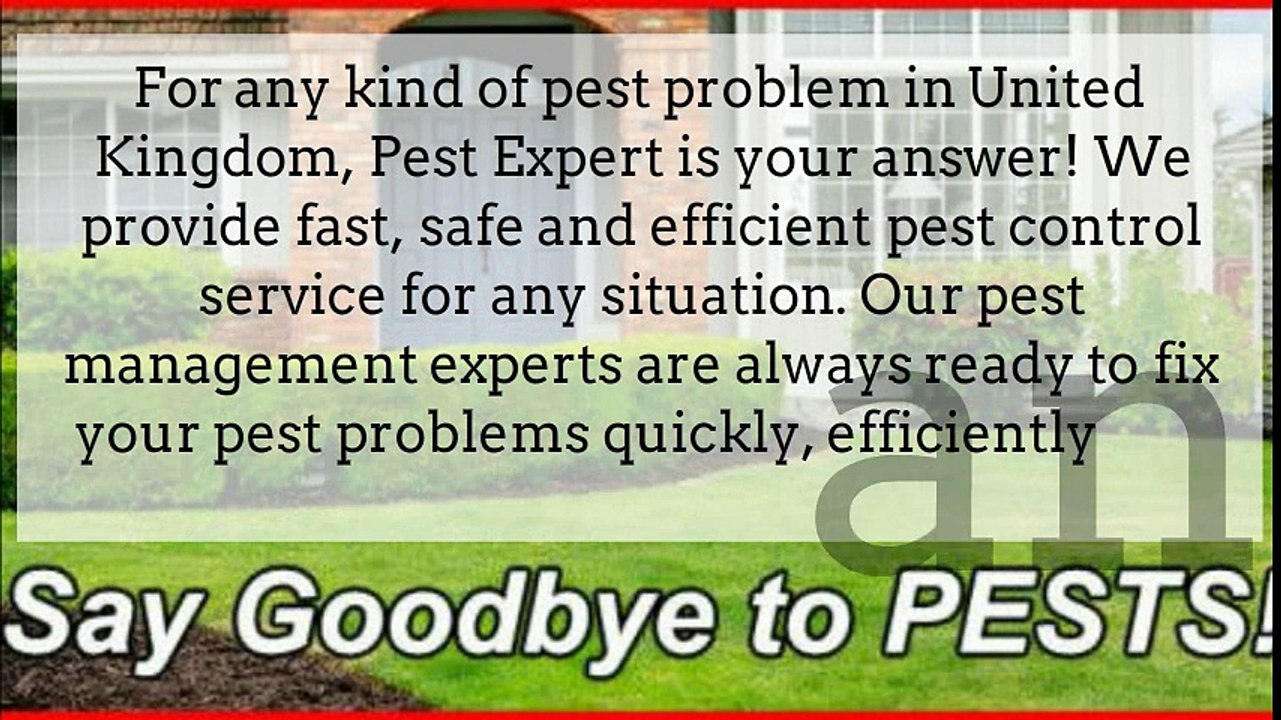 Buy Pest Control Products by Pest Expert