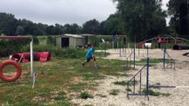Ethan Plaize et Gailor sur un parcours d'agility