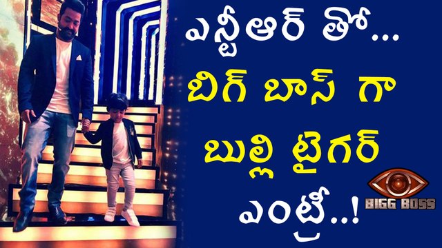 Bigg Boss Telugu: Jr NTR son Abhay Ram's birthday on Bigg Boss sets