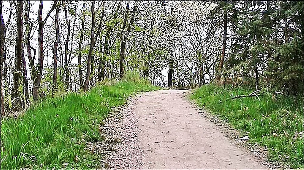 Zu Besuch in Mörsdorf