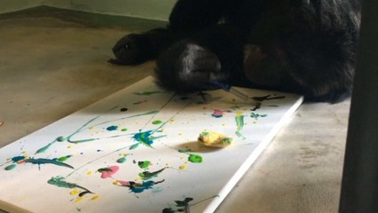 Michael Jackson's chimpanzee becomes star of Miami art exhibition