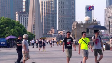 Canicule en Chine: pandas et tigres tirent la langue au zoo