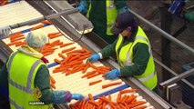 Brexit: A threat to Britain's food security? - Counting the Cost