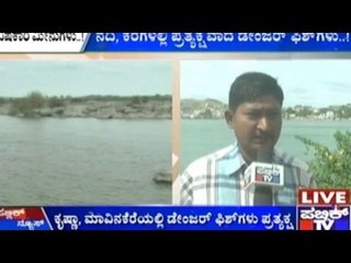 Raichuru: Fish Become Poisonous After Industrial Toxins Enter Lake Water