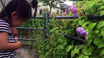 あめのひドキドキ おかあさんといっしょ（cover〜フルversion）