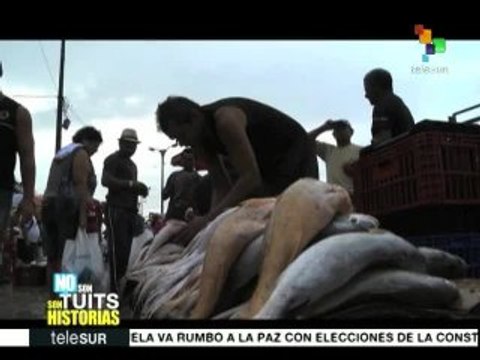 No son tuits son historias: relatos de Colombia, Puerto Rico y Brasil