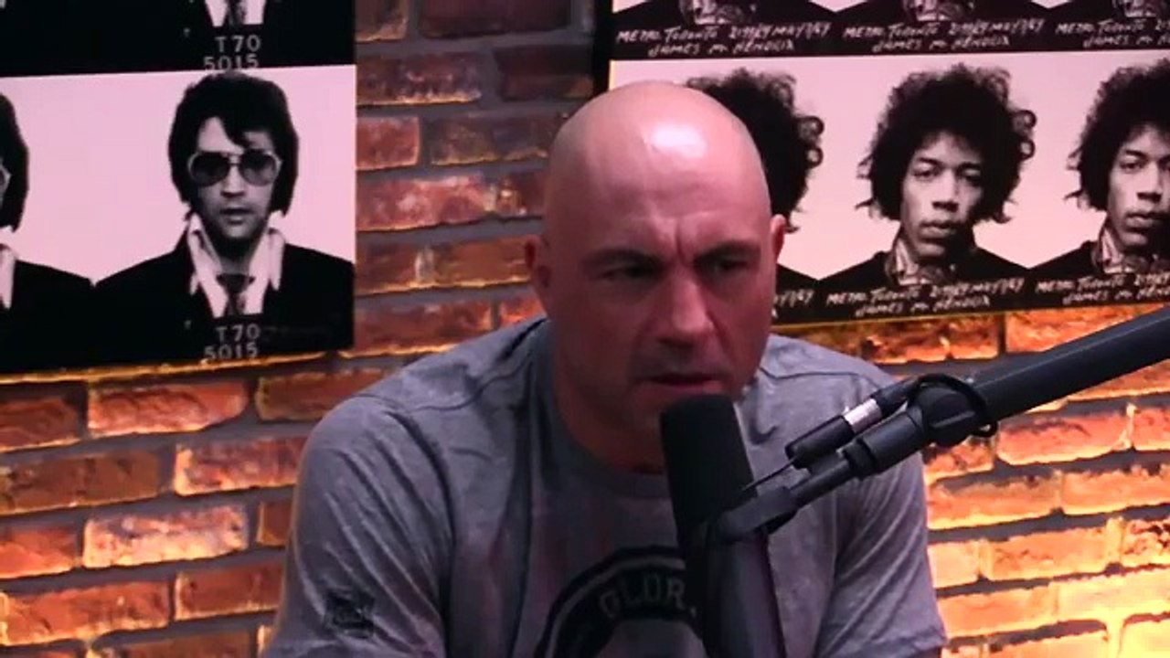 Neil deGrasse Tyson Responds to Stephen Hawkings Take on Aliens (from Joe Rogan Experienc