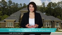 Mountains To Sound Home Inspection Renton Great 5 Star Review by John C.