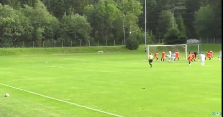 AMR-GOL1: Key Insights and Overview