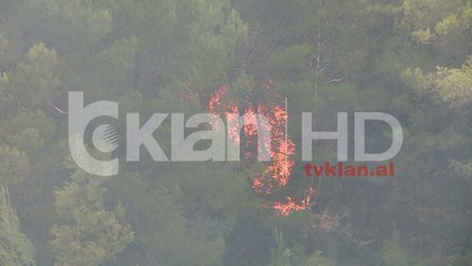 Kodrat e fshatit Ibë përfshihen nga flakët